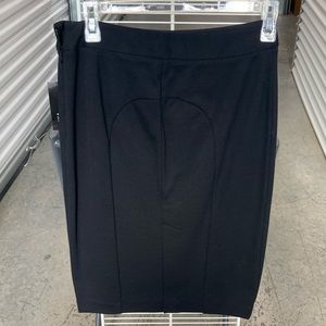 NWT, Inc international concept skirt, size2